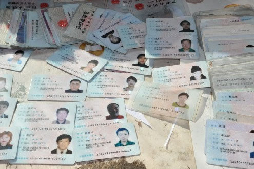 假證泛濫
